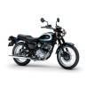 2025 KAWASAKI W 230