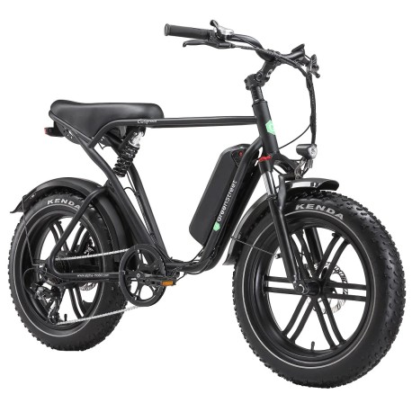 E-Bike Fat Tire California 250 W 20 Zoll