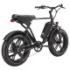 E-Bike Fat Tire California 250 W 20 Zoll