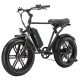 E-Bike Fat Tire California 250 W 20 Zoll